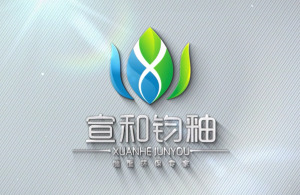 紅瓜子文化傳媒-宣和鈞釉企業宣傳片_材料類企業宣傳片丨企業宣傳片案例