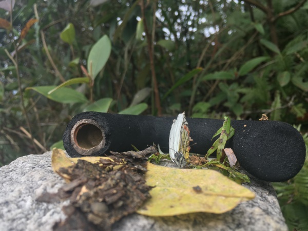 你在故宮修文物，我在紅瓜子拍企業宣傳片