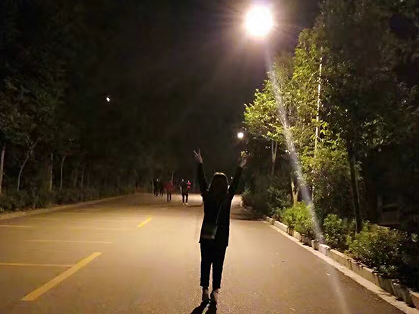 瓜子故事丨愿你學會,笑著低下頭! 瓜子故事丨愿你學會,笑著低下頭!